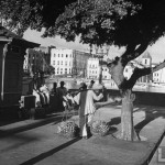 Vendedores de banana